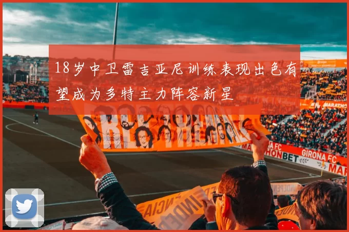 18岁中卫雷吉亚尼训练表现出色有望成为多特主力阵容新星